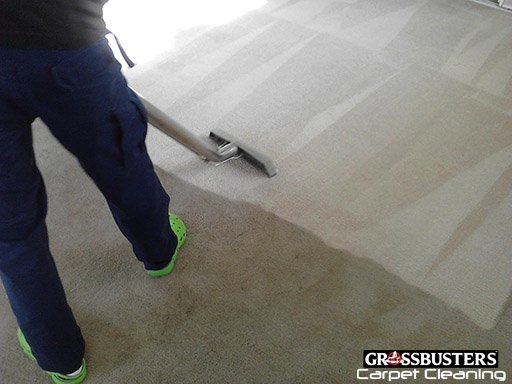 Grossbusters Carpet Cleaning